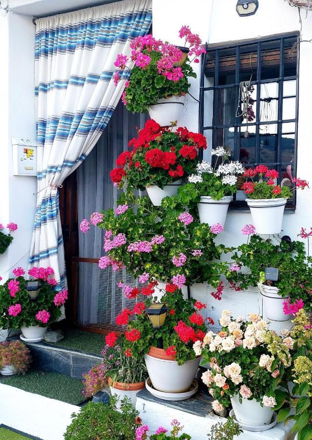 Apartamento Casa Alhambra - Centro Histórico con Jardín Privado Granada Exterior foto