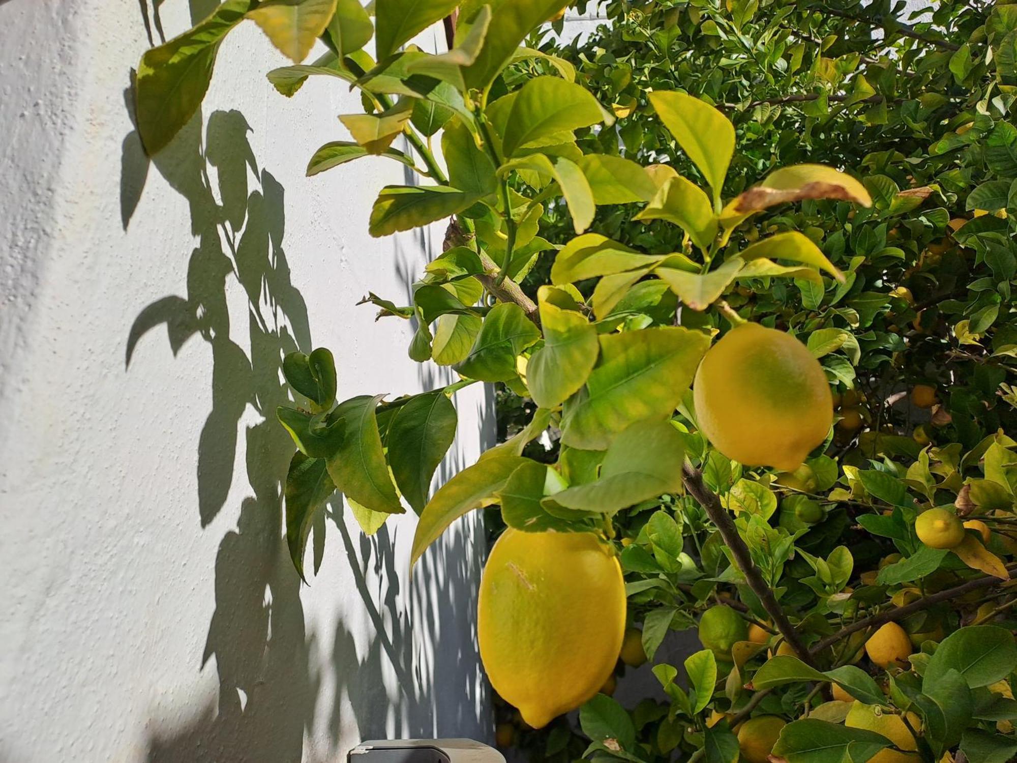 Apartamento Casa Alhambra - Centro Histórico con Jardín Privado Granada Exterior foto