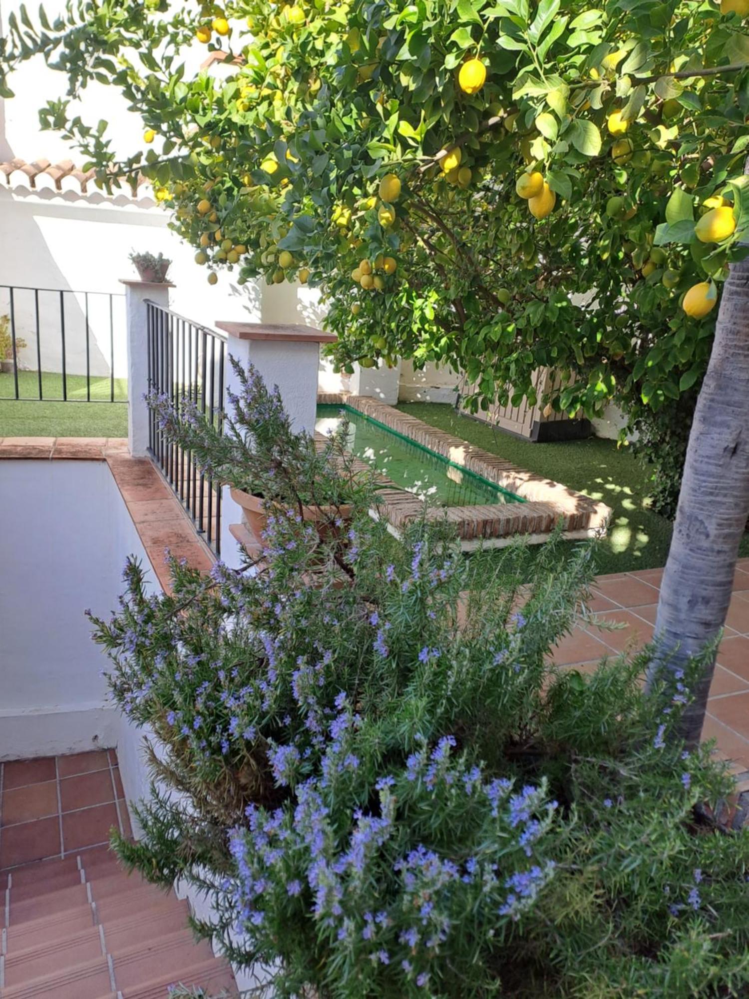 Apartamento Casa Alhambra - Centro Histórico con Jardín Privado Granada Exterior foto